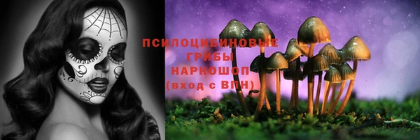 прущая мука Алзамай