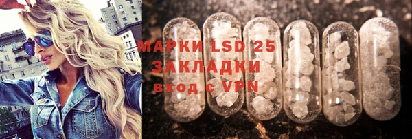 индика Медногорск